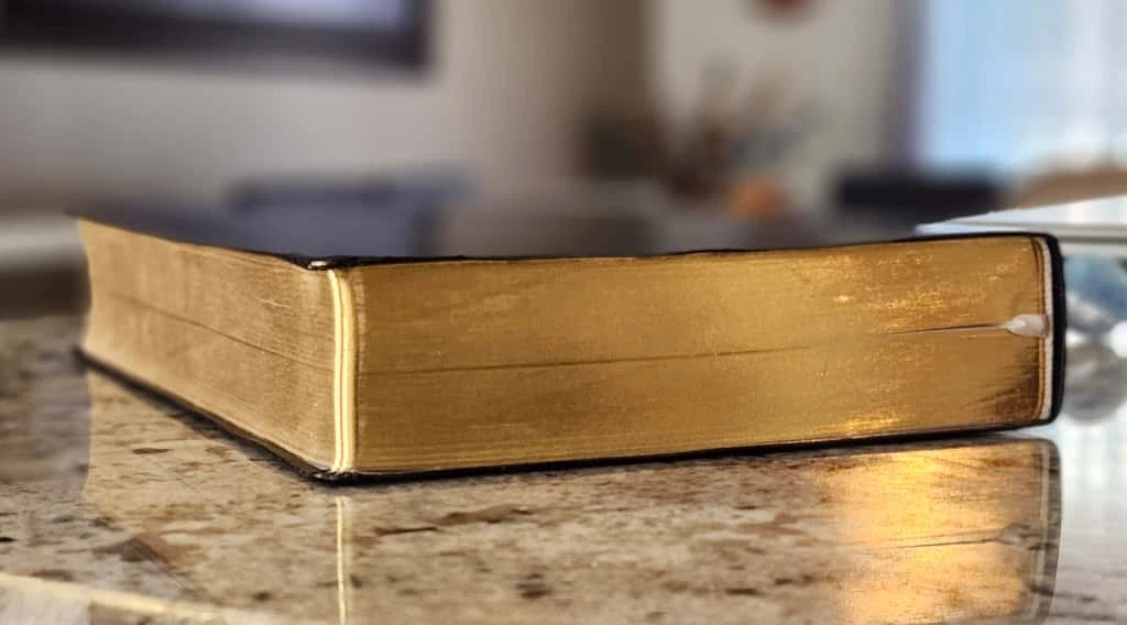 La Sagrada Biblia Straubinger – Edición Clásica de Lujo - Imagen 5