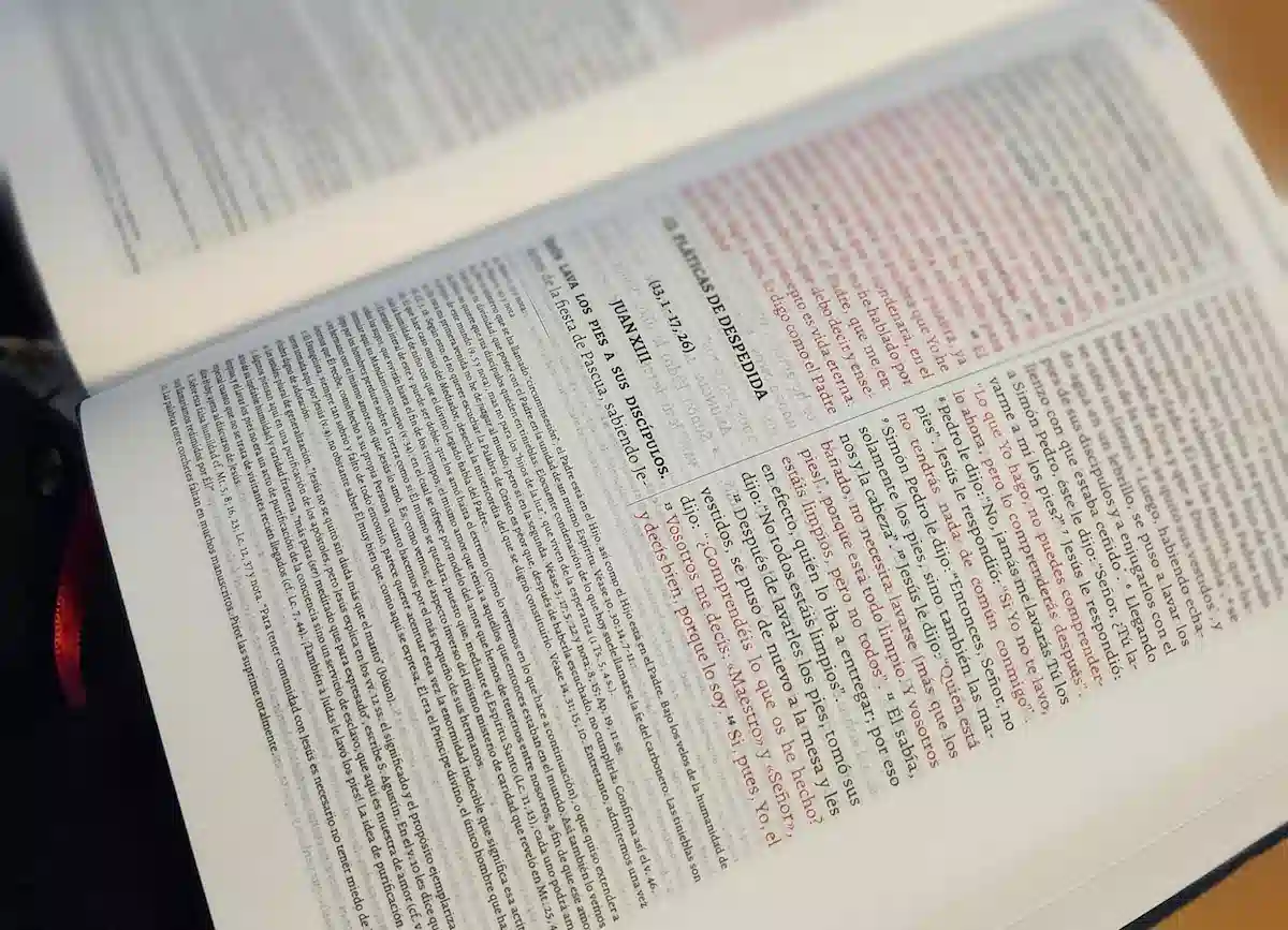 La Sagrada Biblia Straubinger – Edición Clásica de Lujo - Imagen 7